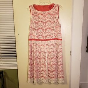 Bright Laced Dress